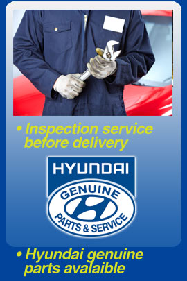 Inspection service before delivery Services